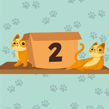 1001 Jigsaw Cute Cats 2