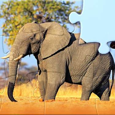 1001 Jigsaw World Tour - Africa
