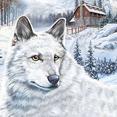 Hidden Object Games - Nancy Drew - The White Wolf of Icicle Creek